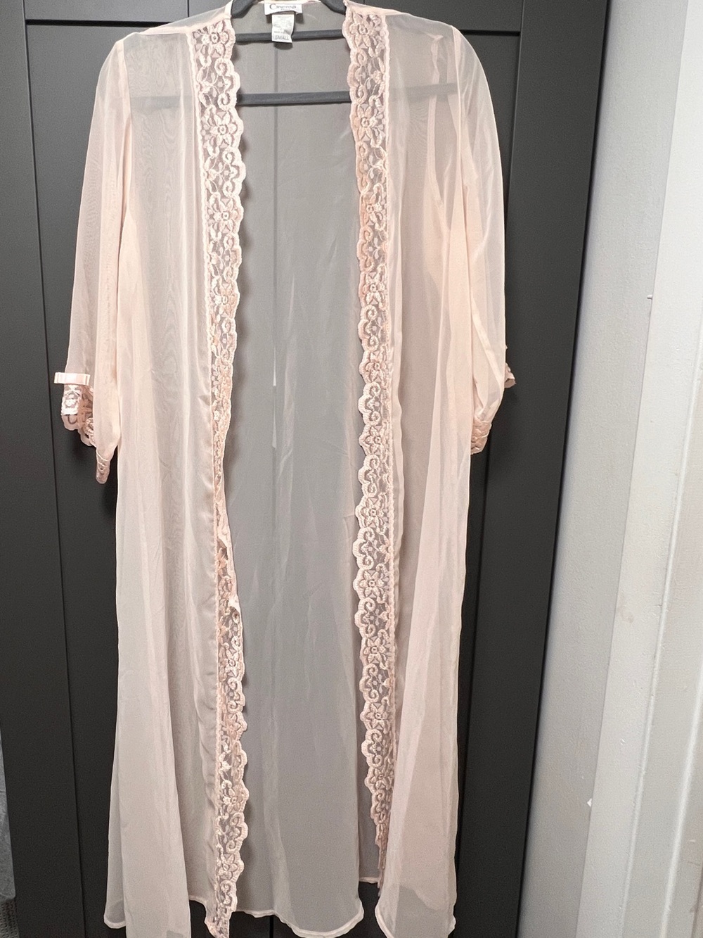 Vintage Sheer Lace-Trim Long Robe in Light Blush by